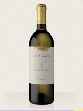 Pinot Bianco Kristallberg 2022 Elena Walch